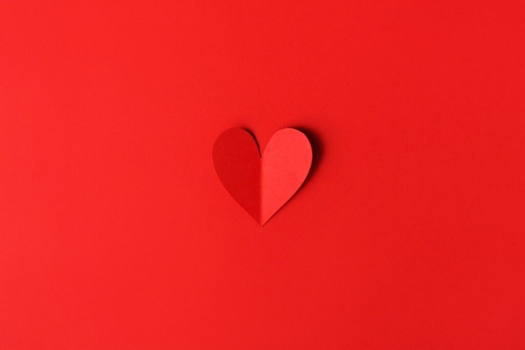 Lire la suite à propos de l’article Neque adipiscing an cursus